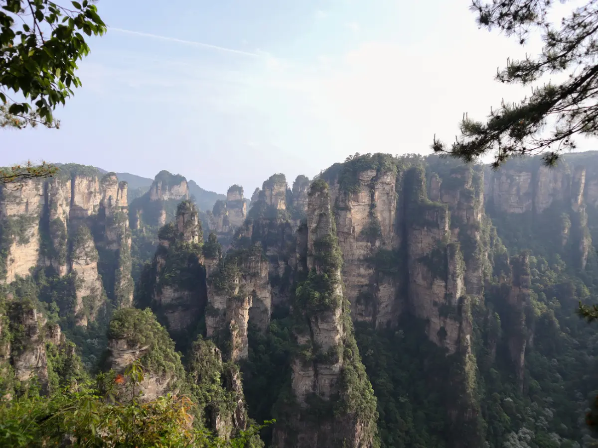 Zhangjiajie ItineraExpansive view of layered, towering sandstone formations with trees clinging to their surfaces at Yuanjiajie—unmissable for any zhangjiajie travel guide.ry