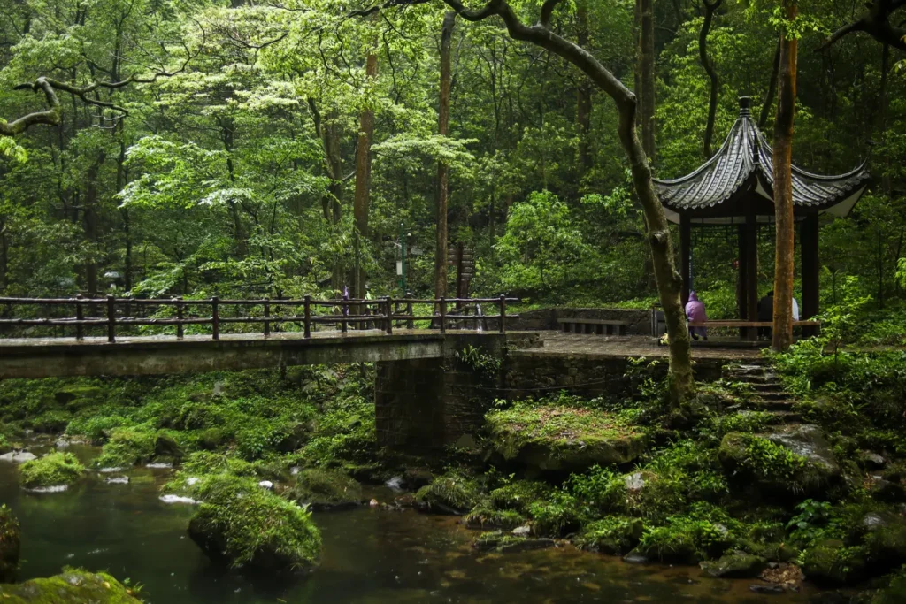 Zhangjiajie Travel Guide Golden Whip Stream