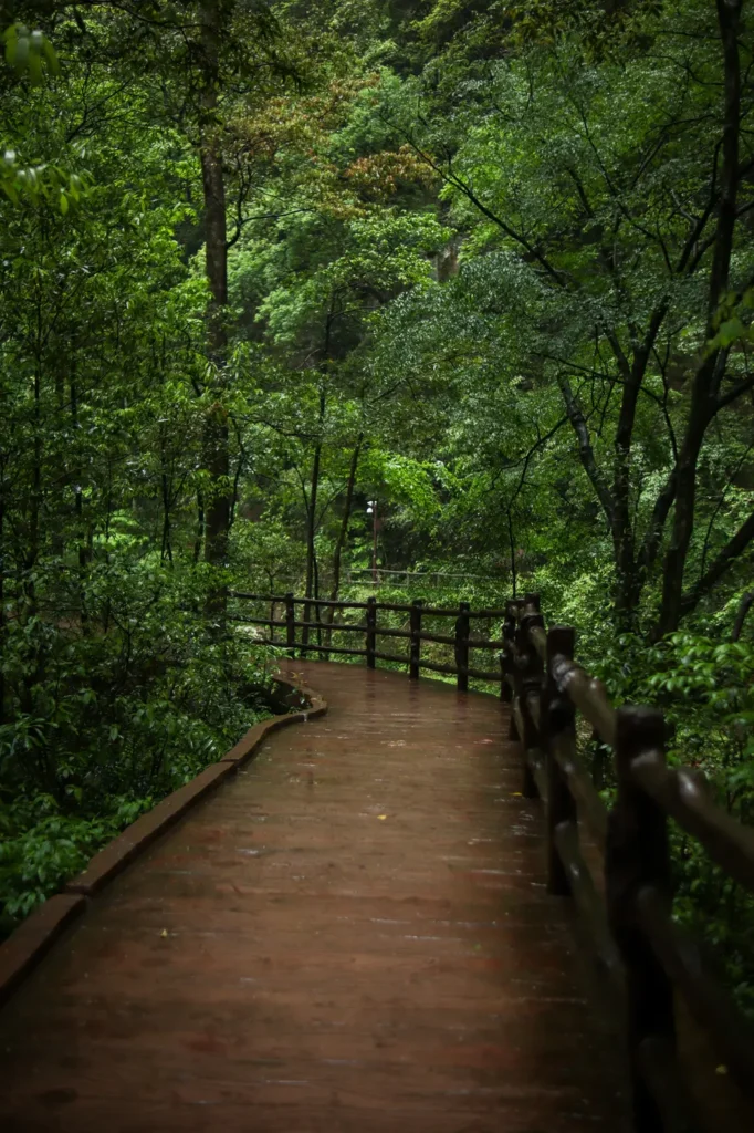 Zhangjiajie Travel Guide Golden Whip Stream