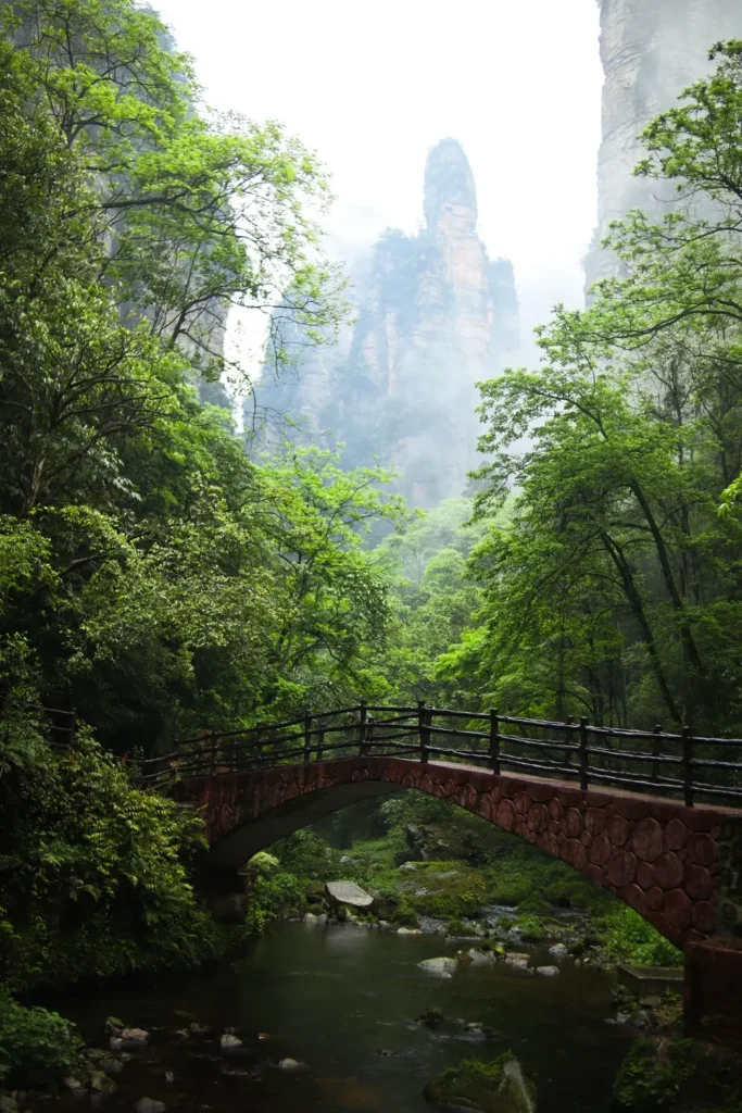 Zhangjiajie Travel Guide Golden Whip Stream