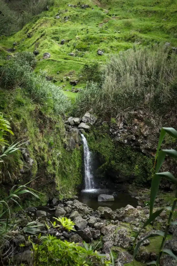 São Miguel Itinerary: 5 days chasing waterfalls, lakes, and hot springs in the Azores (+map) 56 Cascata do Risco in Sao Miguel
