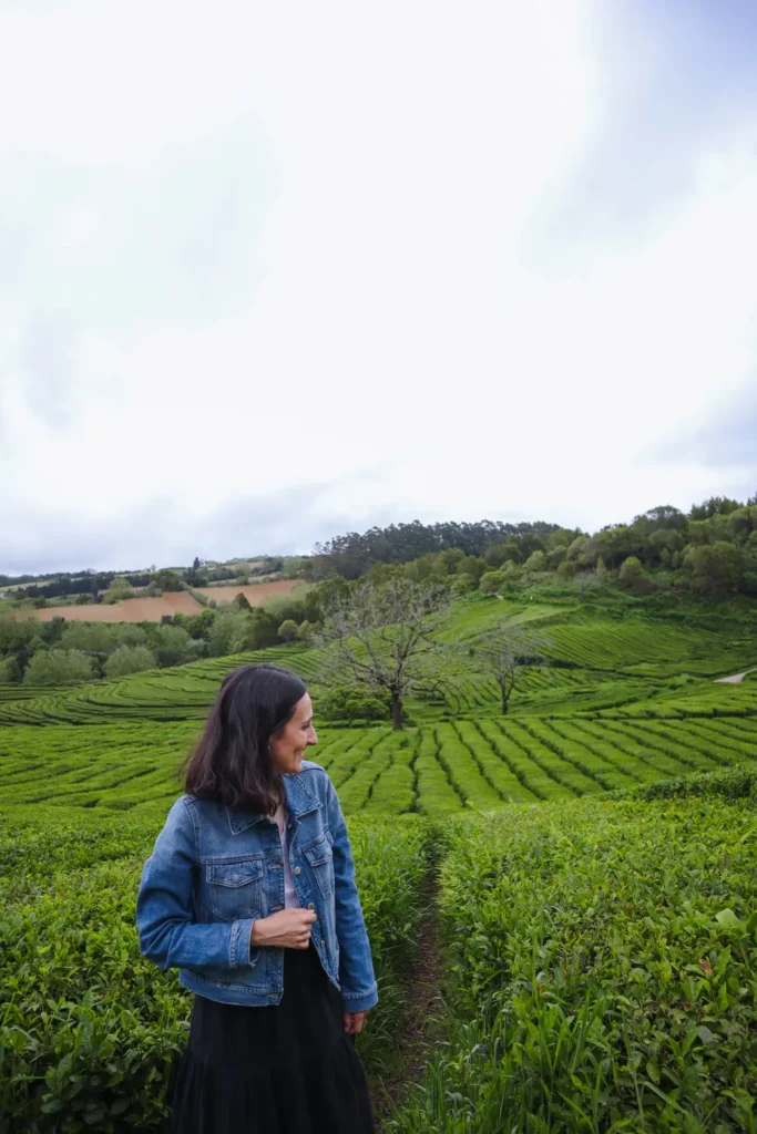 São Miguel Itinerary: 5 days chasing waterfalls, lakes, and hot springs in the Azores (+map) 71 Gorreana Tea Factory in Sao Miguel Azores 3