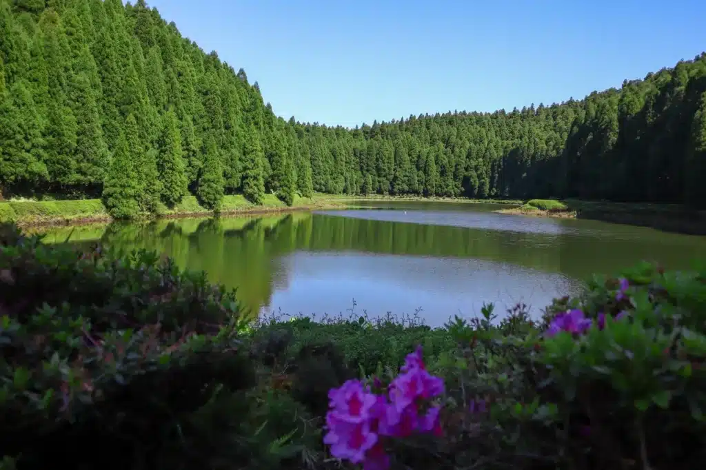 São Miguel Itinerary: 5 days chasing waterfalls, lakes, and hot springs in the Azores (+map) 16 Lagoa das Empadadas