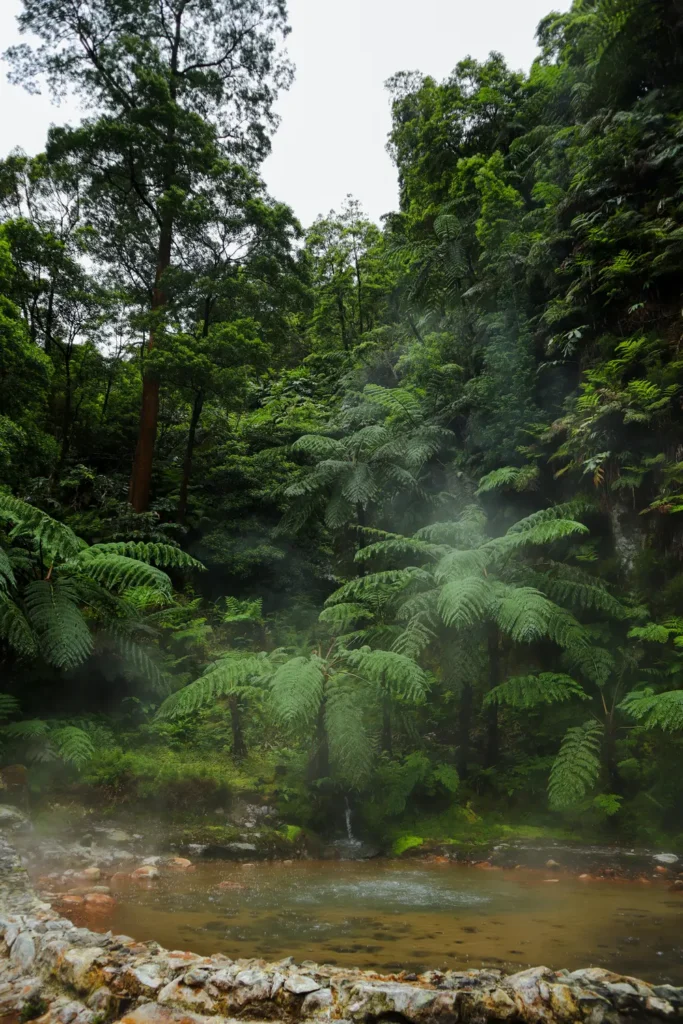 São Miguel Itinerary: 5 days chasing waterfalls, lakes, and hot springs in the Azores (+map) 47 Thermal baths at Caldeira Velha in Sao Miguel 4