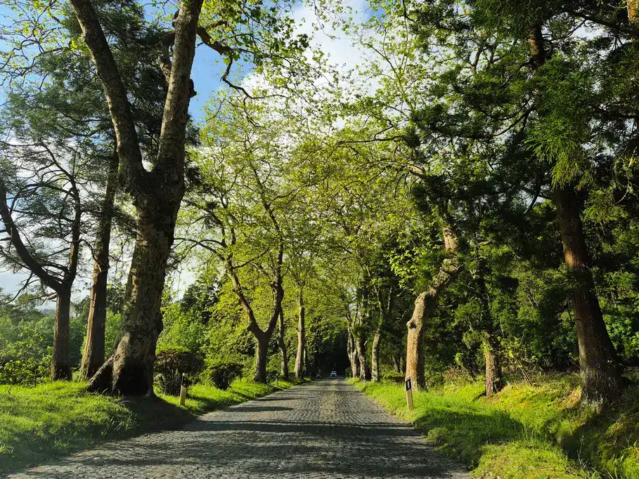 Everything you need to know about renting a car & driving in São Miguel (Azores) 1 Tips for renting a car in Sao Miguel