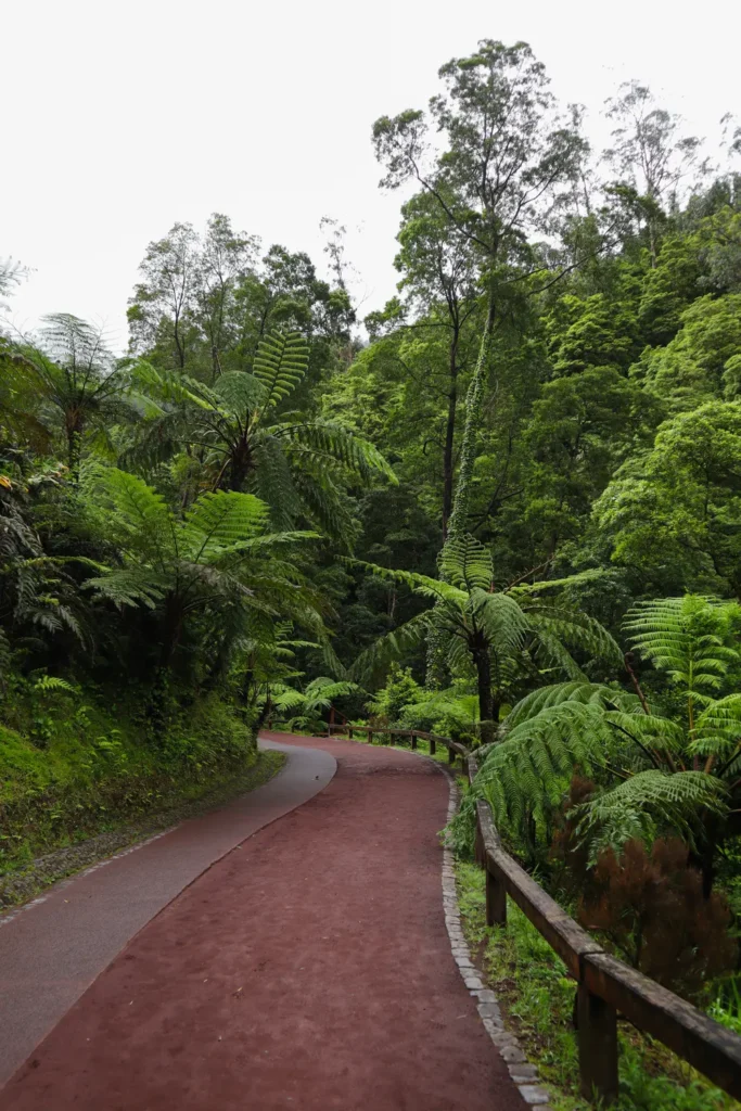 Roteiro de 5 dias em São Miguel: O melhor da ilha verde dos Açores (+mapa) 44 Banhos termais na Caldeira Velha em São Miguel