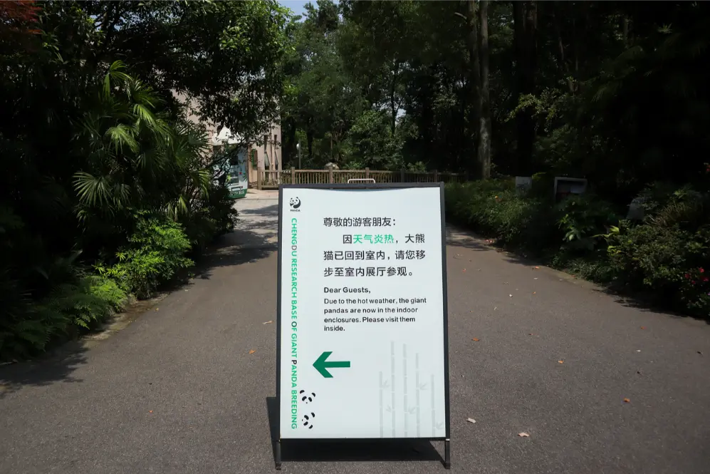 Chengdu Itinerary: Ultimate one-day adventure to see pandas & more (+map) 32 Chengdu Itinerary Chengdu Research Base of Giant Panda Breeding