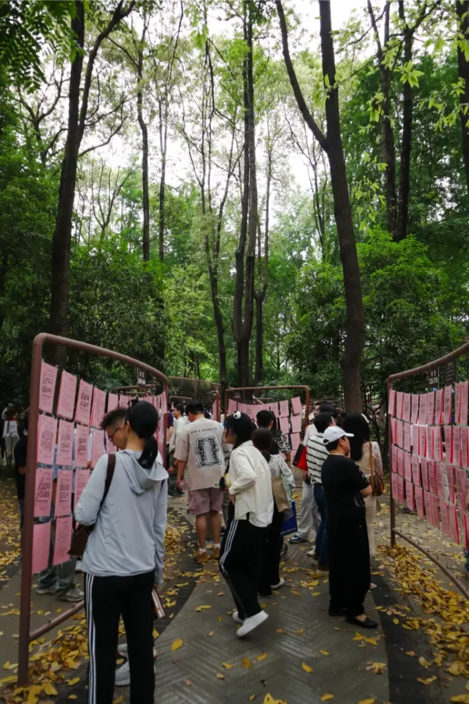 China Travel Tips: 35+ must-know things before visiting (2026 Guide) 30 Locals walking through Chengdu’s “matchmaking corner” in a tree-lined park, reading pink personal ads posted on wire displays.