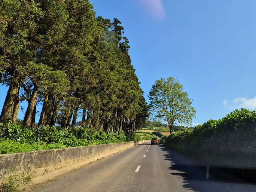 Alugar carro em São Miguel: guia completo 5 Tudo o que é preciso saber para alugar carro em São Miguel