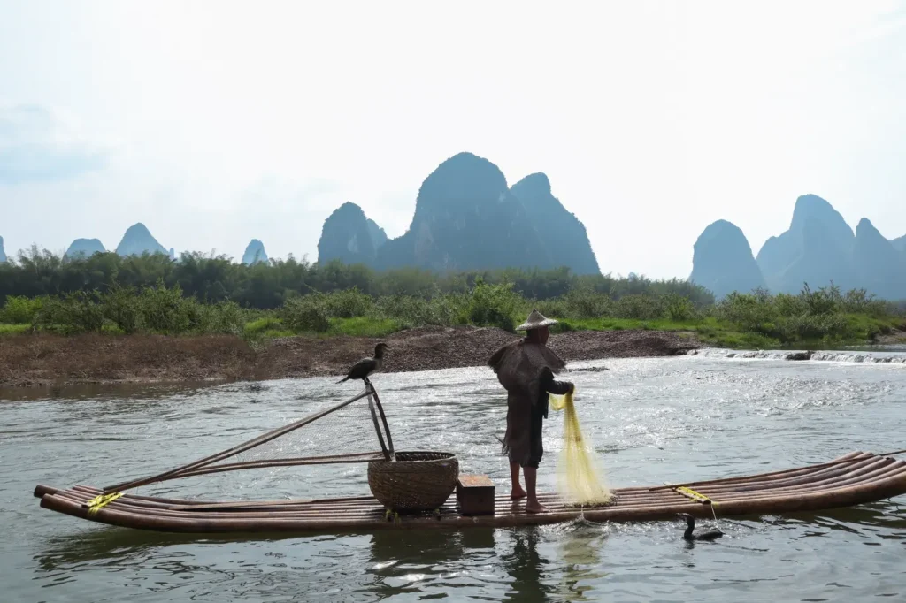 2 weeks in China: the perfect first-timer itinerary for an unforgettable trip 4 Traditional cormorant fisherman casting a yellow net from a bamboo raft while his birds wait on the edge. The misty peaks in the distance frame this timeless scene from rural China.