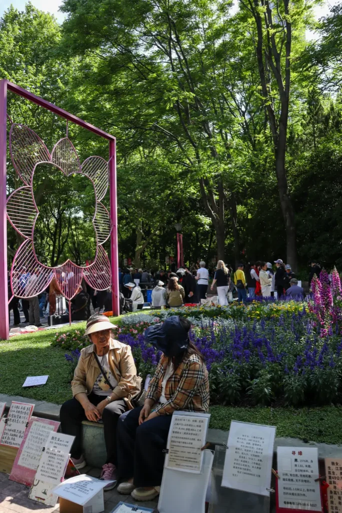 China Travel Tips: 35+ must-know things before visiting (2026 Guide) 31 Two elderly women sit near handwritten matchmaking ads in a lush park with crowds in the background. For unusual China travel tips, visit local parks to observe real-life cultural scenes like matchmaking corners.