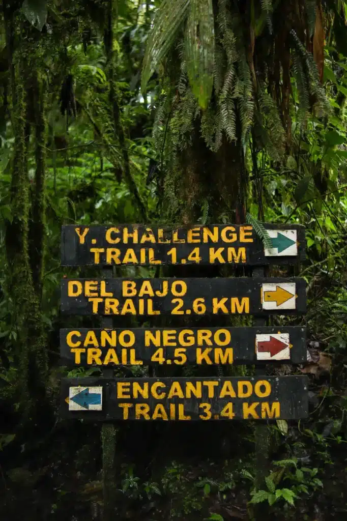 15 unforgettable things to do in Monteverde for first-time visitors (+map) 23 Best things to do in Monteverde Santa Elena Bosque Nuboso 2
