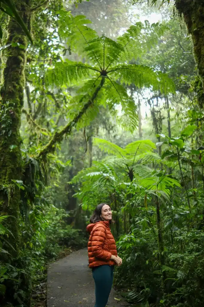 15 unforgettable things to do in Monteverde for first-time visitors (+map) 22 Best things to do in Monteverde Santa Elena Bosque Nuboso 3