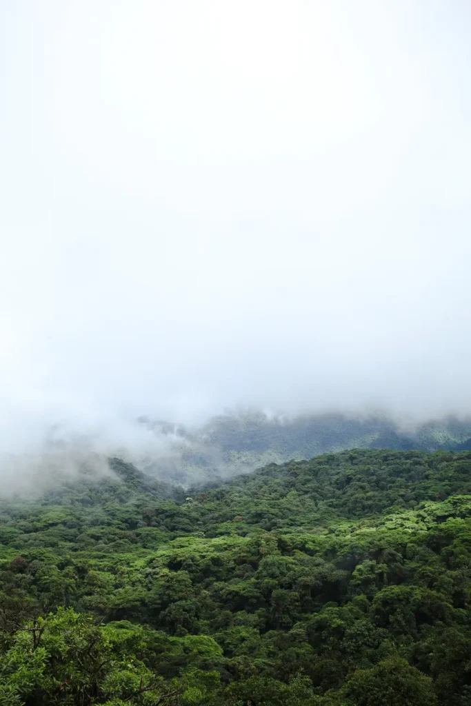 15 unforgettable things to do in Monteverde for first-time visitors (+map) 25 Best things to do in Monteverde Santa Elena Bosque Nuboso 5