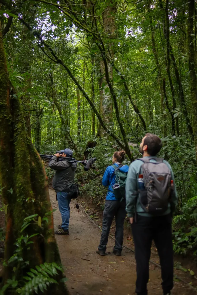 15 unforgettable things to do in Monteverde for first-time visitors (+map) 14 Cloud forest reserve tour with Costa Rica Inspire 6