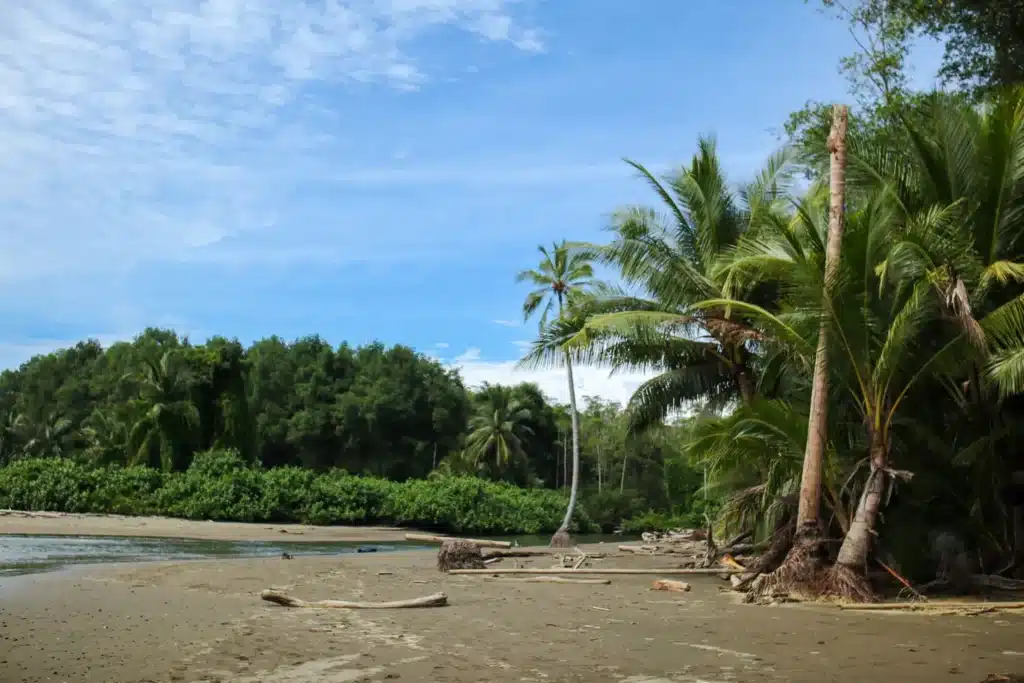 14 things to do in Uvita that prove it’s worth adding to your Costa Rica itinerary (+map) 16 How to visit Marino Ballena National Park 10