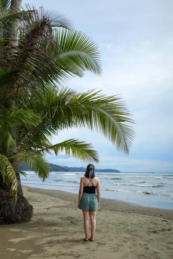 14 things to do in Uvita that prove it’s worth adding to your Costa Rica itinerary (+map) 3 How to visit Marino Ballena National Park 11