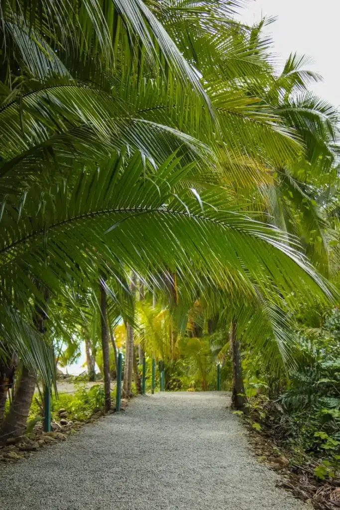 14 things to do in Uvita that prove it’s worth adding to your Costa Rica itinerary (+map) 11 How to visit Marino Ballena National Park 4
