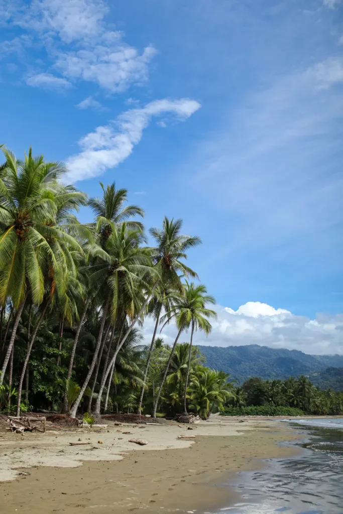 14 things to do in Uvita that prove it’s worth adding to your Costa Rica itinerary (+map) 29 How to visit Marino Ballena National Park 9