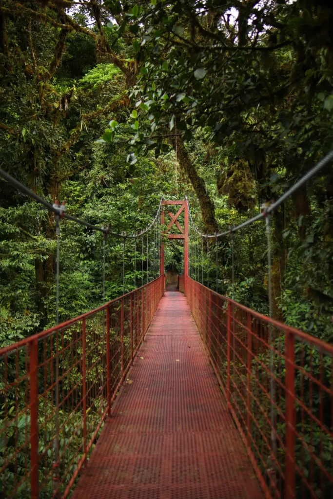 15 unforgettable things to do in Monteverde for first-time visitors (+map) 34 Monteverde itinerary Cloudforest reserve 4