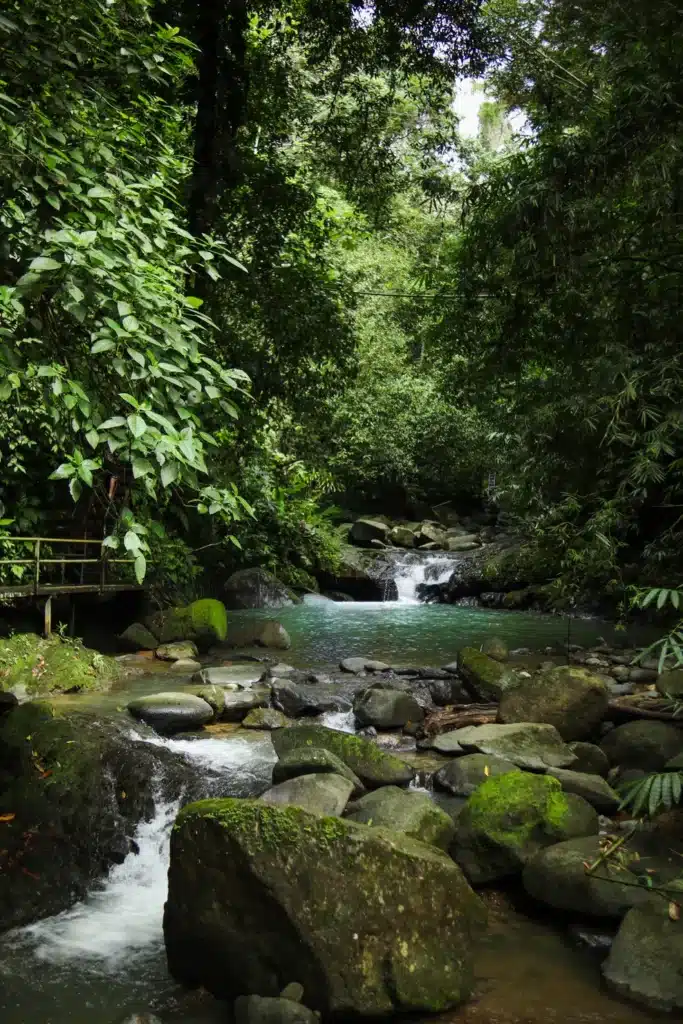 14 things to do in Uvita that prove it’s worth adding to your Costa Rica itinerary (+map) 19 Things to do in Uvita Catarata Uvita 4