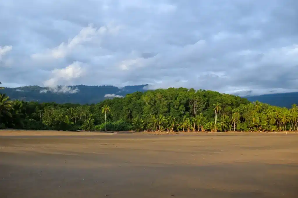 14 things to do in Uvita that prove it’s worth adding to your Costa Rica itinerary (+map) 32 Visiting Uvita whale tail