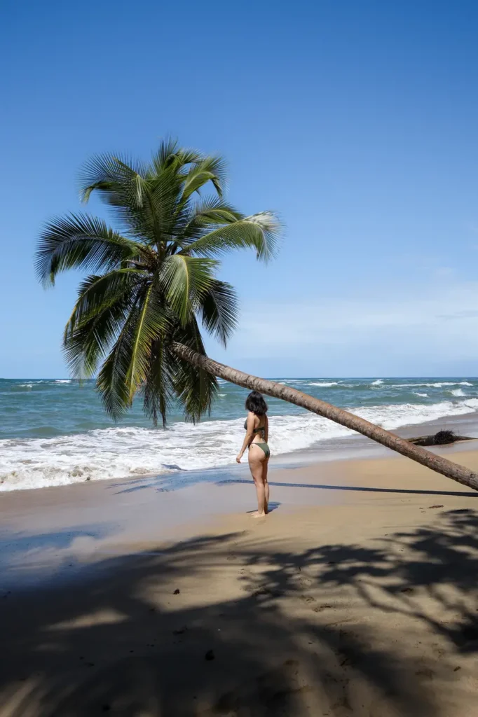 14 best things to do in Puerto Viejo: the ultimate guide (+map) 13 Best things to do in Puerto Viejo Playa Punta Uva Arrecife