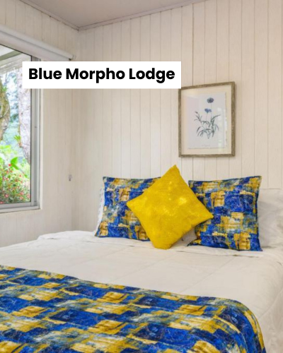 Como visitar a Catarata del Toro: guia completo para uma das cascatas mais impressionantes da Costa Rica 7 Blue Morpho Lodge