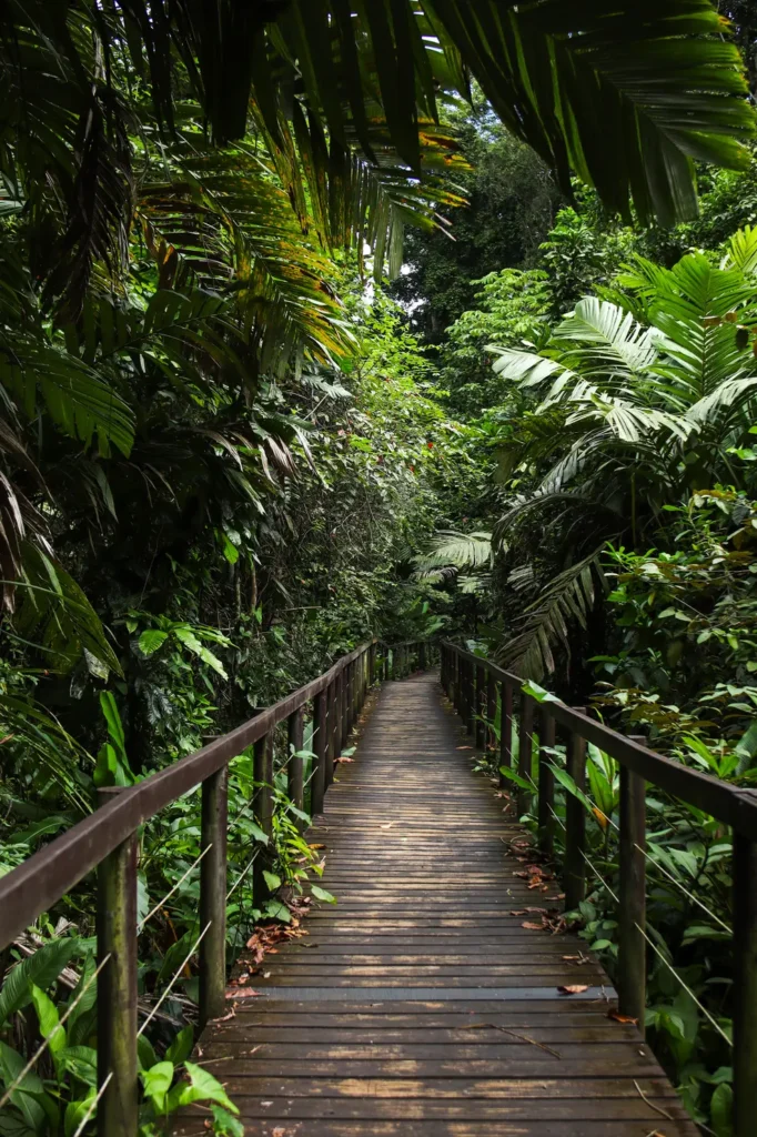Cahuita National Park Guide: everything you need to know 2 Cahuita National Park Guide 7