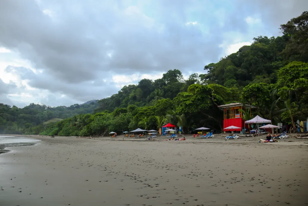 O que fazer em Uvita: 14 coisas que provam que vale a pena incluí-la no vosso roteiro pela Costa Rica (+mapa) 4 Como visitar Uvita Playa Hermosa