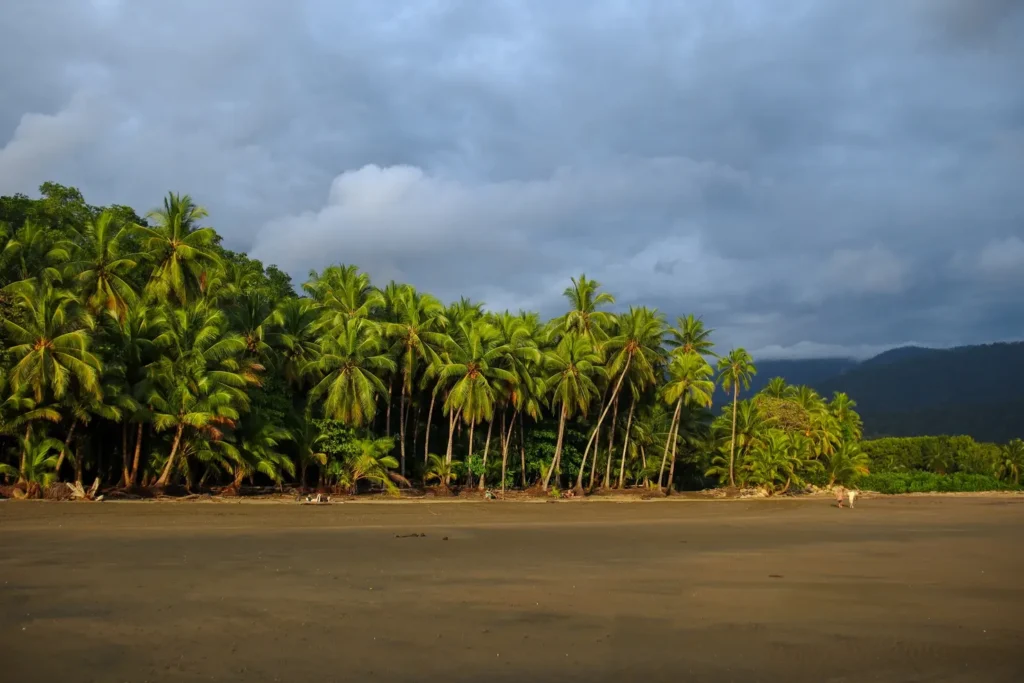 O que fazer em Uvita: 14 coisas que provam que vale a pena incluí-la no vosso roteiro pela Costa Rica (+mapa) 15 Como visitar o Parque Nacional Marino Ballena