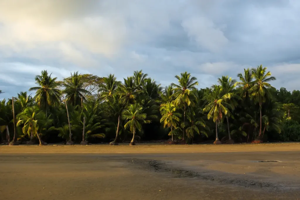 O que fazer em Uvita: 14 coisas que provam que vale a pena incluí-la no vosso roteiro pela Costa Rica (+mapa) 30 Como visitar o Parque Nacional Marino Ballena