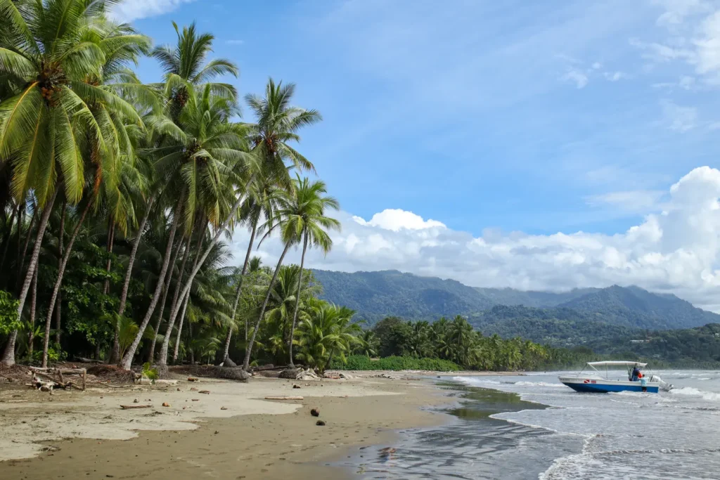 O que fazer em Uvita: 14 coisas que provam que vale a pena incluí-la no vosso roteiro pela Costa Rica (+mapa) 12 Como visitar o Parque Nacional Marino Ballena
