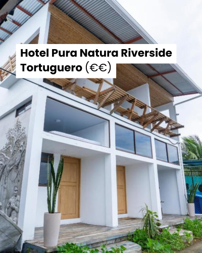 7 best things to do in Tortuguero 10 Hotel Pura Natura Riverside Tortuguero