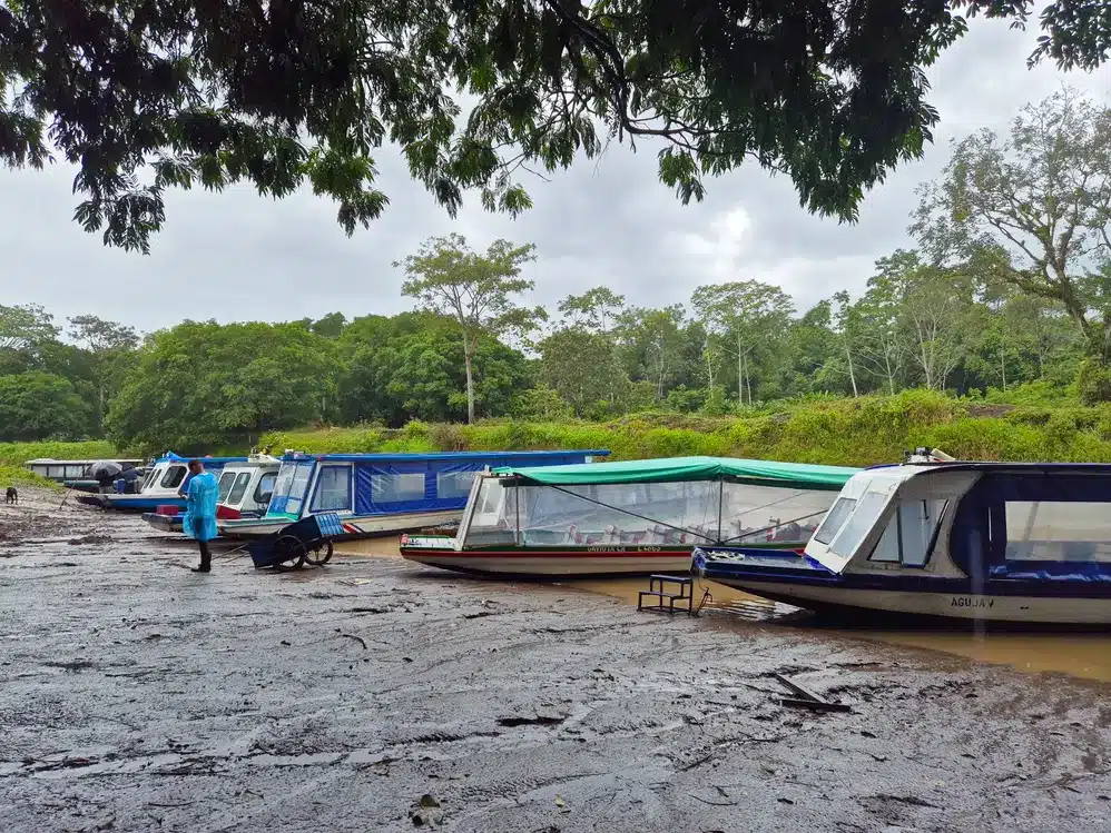 How to get to Tortuguero: everything you need to know 11 How to get to Tortuguero from La Pavona 2