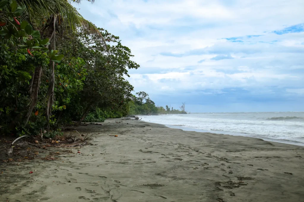 Cahuita National Park Guide: everything you need to know 28 How to visit Cahuita National Park 5