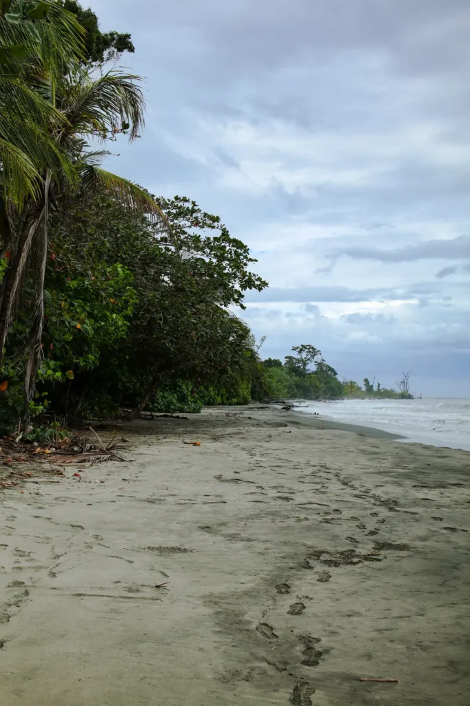 Cahuita National Park Guide: everything you need to know 24 How to visit Cahuita National Park 6