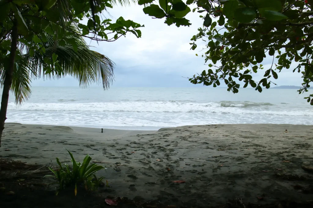 Cahuita National Park Guide: everything you need to know 29 How to visit Cahuita National Park 7