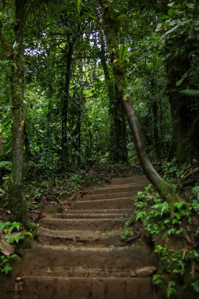 Ultimate guide to visit Rio Celeste waterfall (Costa Rica) 17 How to visit Tenorio Volcano National Park 3