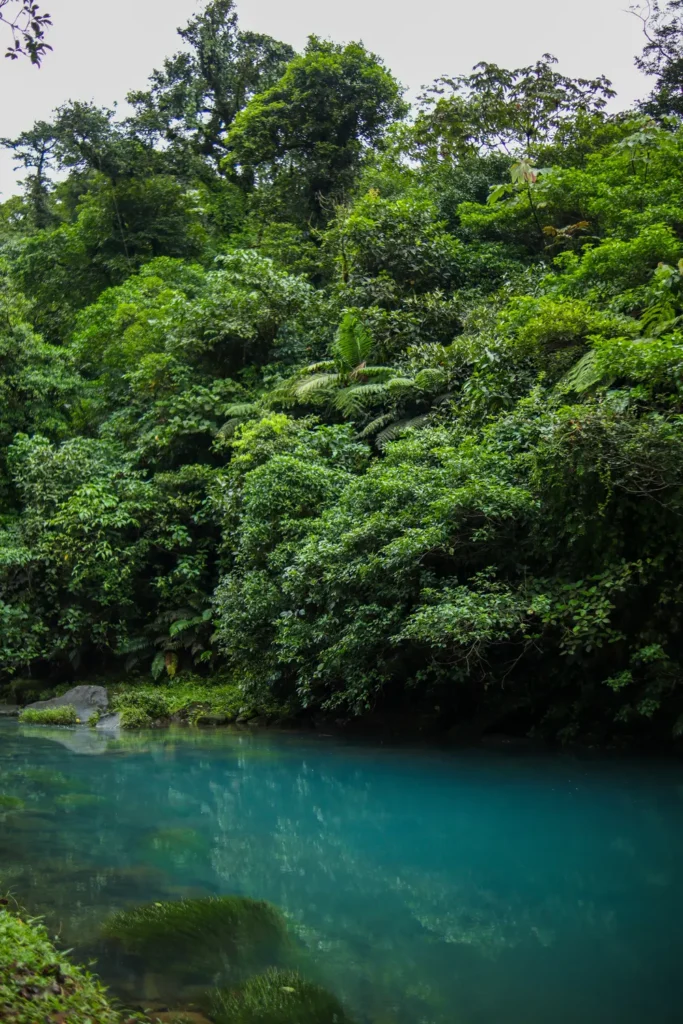 Ultimate guide to visit Rio Celeste waterfall (Costa Rica) 22 How to visit Tenorio Volcano National Park 8