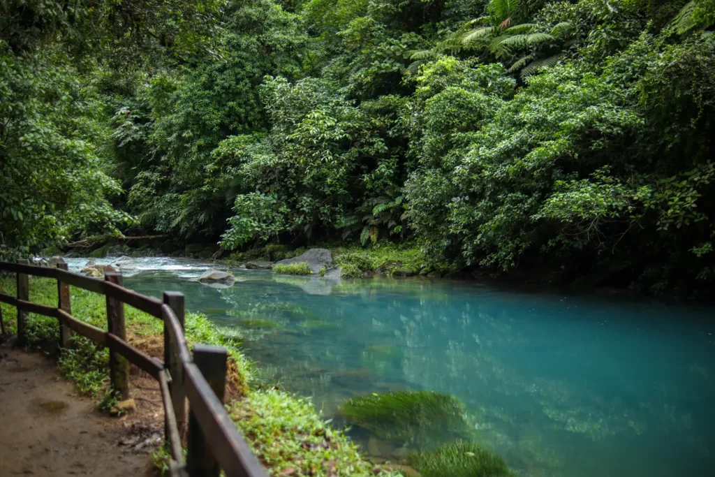 Ultimate guide to visit Rio Celeste waterfall (Costa Rica) 18 How to visit Tenorio Volcano National Park 9