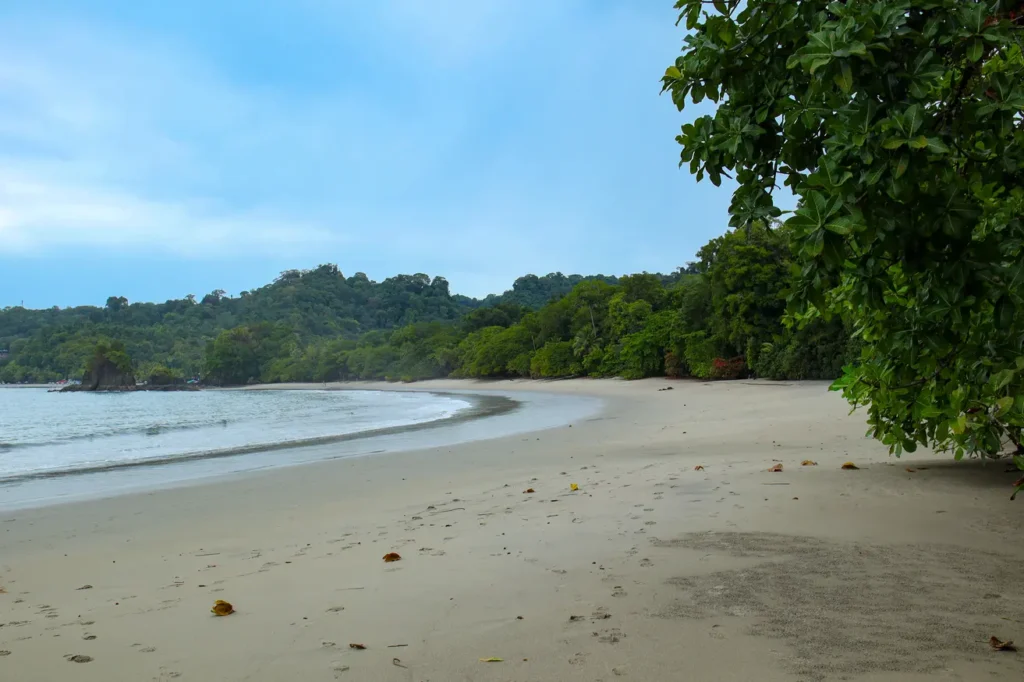 The ultimate Manuel Antonio National Park guide for first time visitors 16 Manuel Antonio beach in Manuel Antonio National Park
