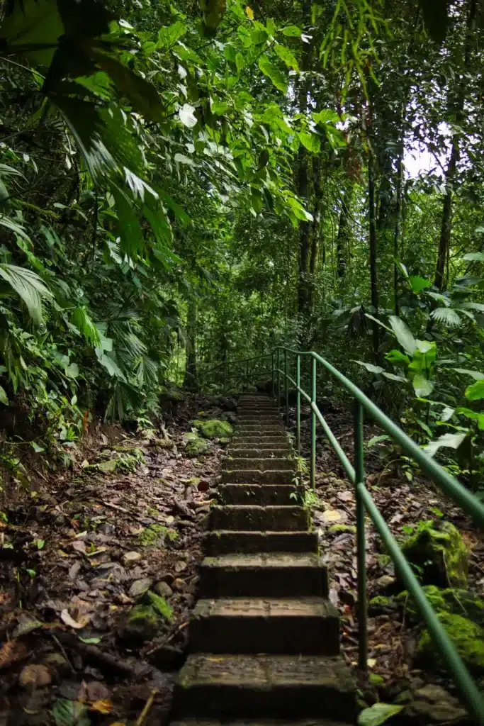 How to spend 2 days in Manuel Antonio: simple and practical guide 19 Manuel Antonio itinerary Rainmaker Conservation Park 11
