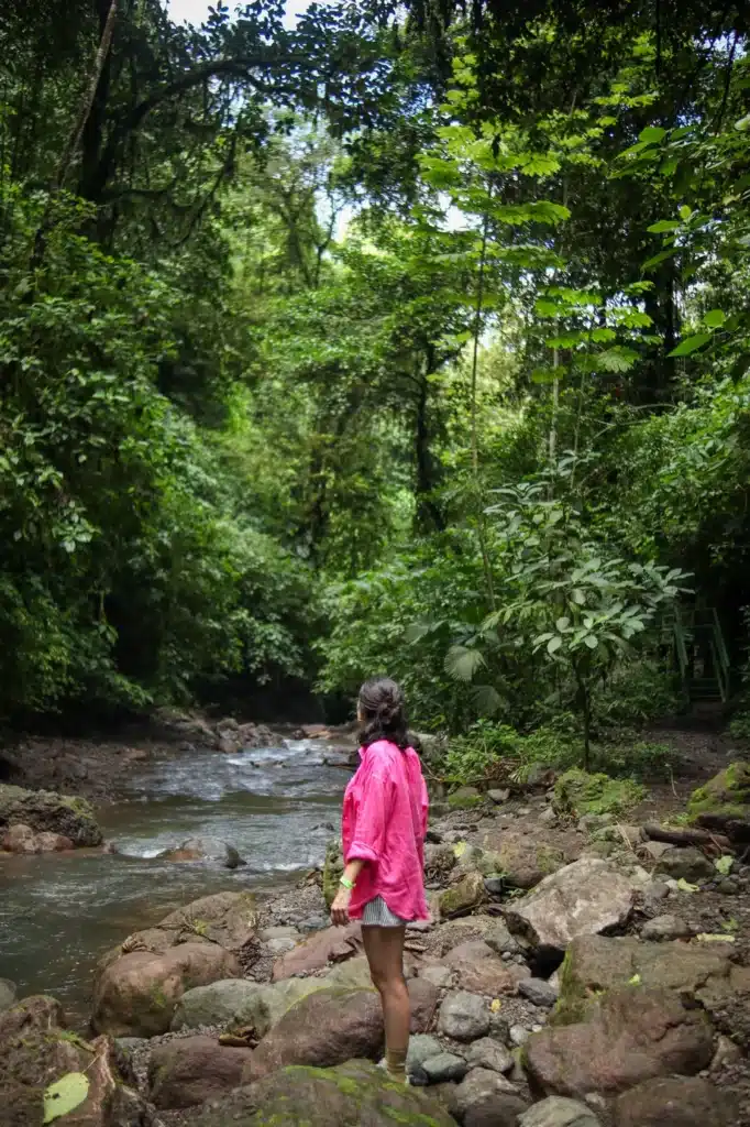 How to spend 2 days in Manuel Antonio: simple and practical guide 8 Manuel Antonio itinerary Rainmaker Conservation Park 2