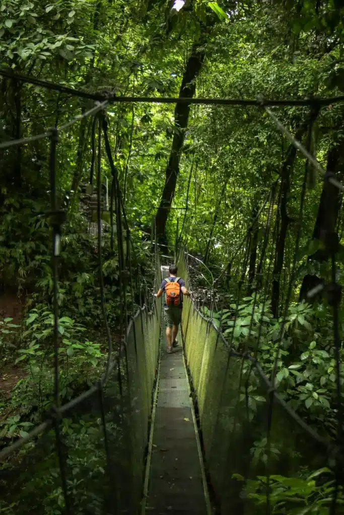 How to spend 2 days in Manuel Antonio: simple and practical guide 1 Manuel Antonio itinerary Rainmaker Conservation Park 5