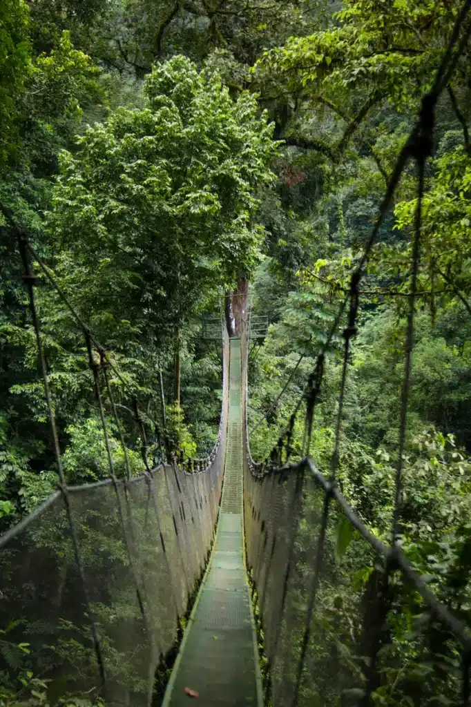 How to spend 2 days in Manuel Antonio: simple and practical guide 22 Manuel Antonio itinerary Rainmaker Conservation Park 7