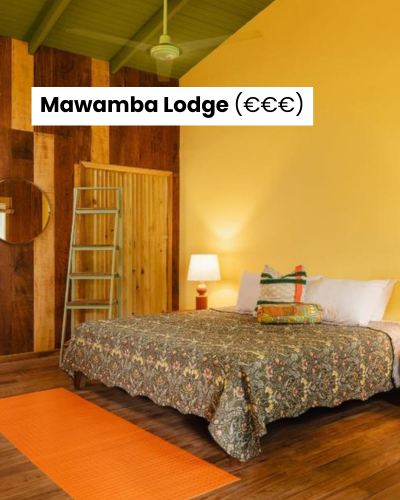 7 best things to do in Tortuguero 11 Mawamba Lodge