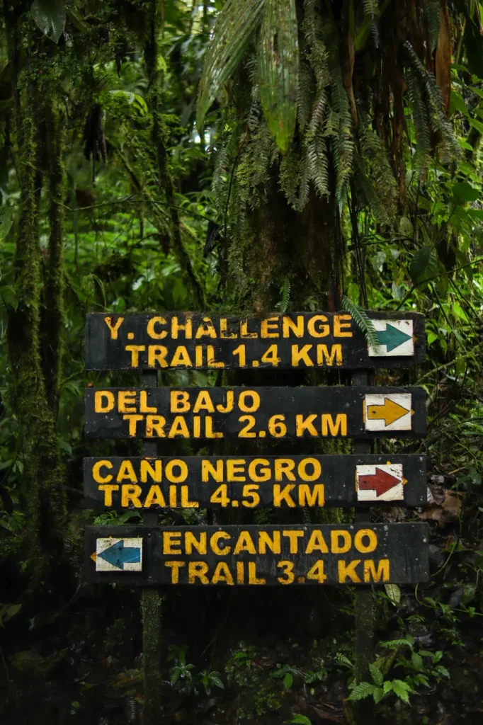 O que fazer em Monteverde: 15 experiências imperdíveis para uma primeira visita (+mapa) 23 O que fazer em Monteverde Santa Elena Bosque Nuboso 2
