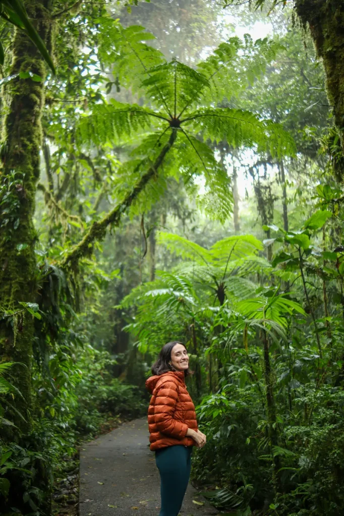 O que fazer em Monteverde: 15 experiências imperdíveis para uma primeira visita (+mapa) 22 O que fazer em Monteverde Santa Elena Bosque Nuboso 3