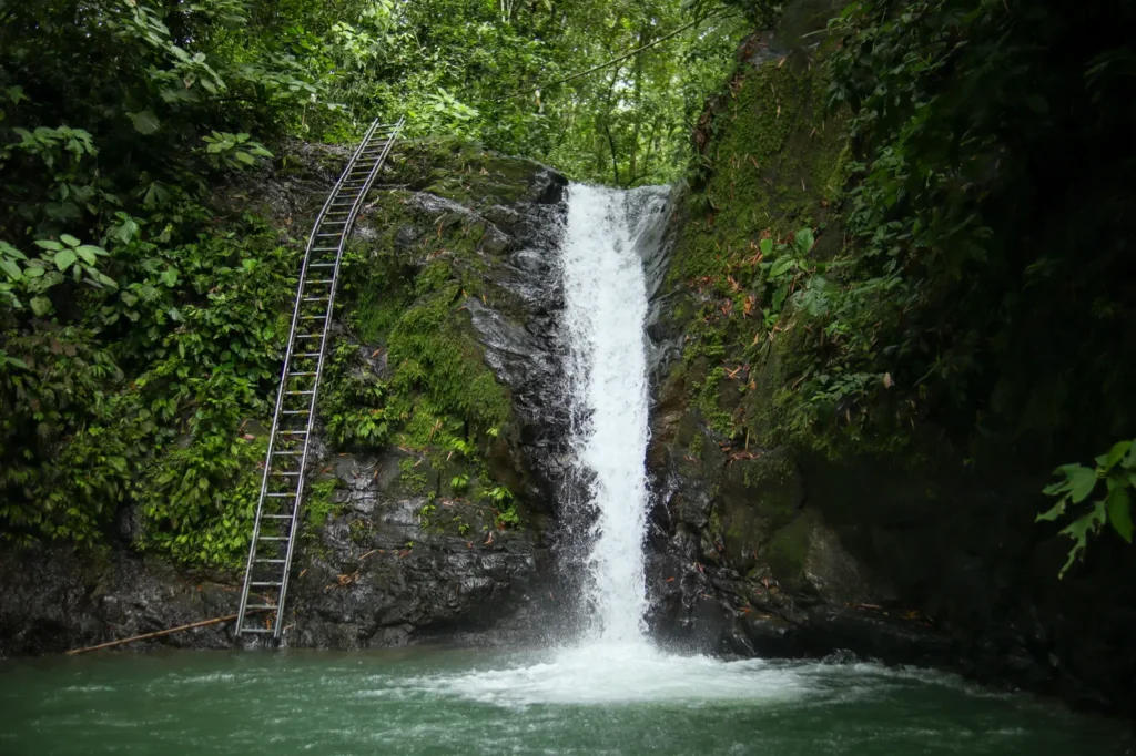 O que fazer em Uvita: 14 coisas que provam que vale a pena incluí-la no vosso roteiro pela Costa Rica (+mapa) 18 O que fazer em Uvita Catarata Uvita